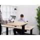 Duo Back-to-Back Height Adjustable Desk